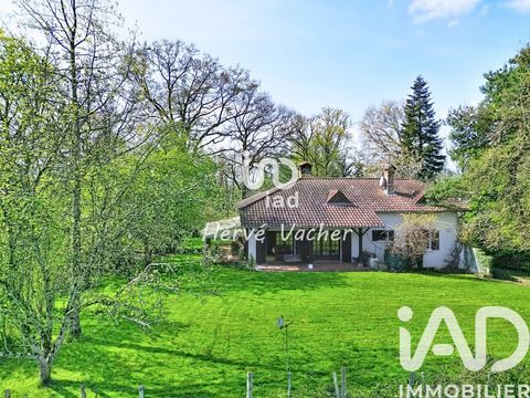   Vente Maison traditionnelle 6 pi�ces Maison - 6 pi�ce(s) - 162 m�