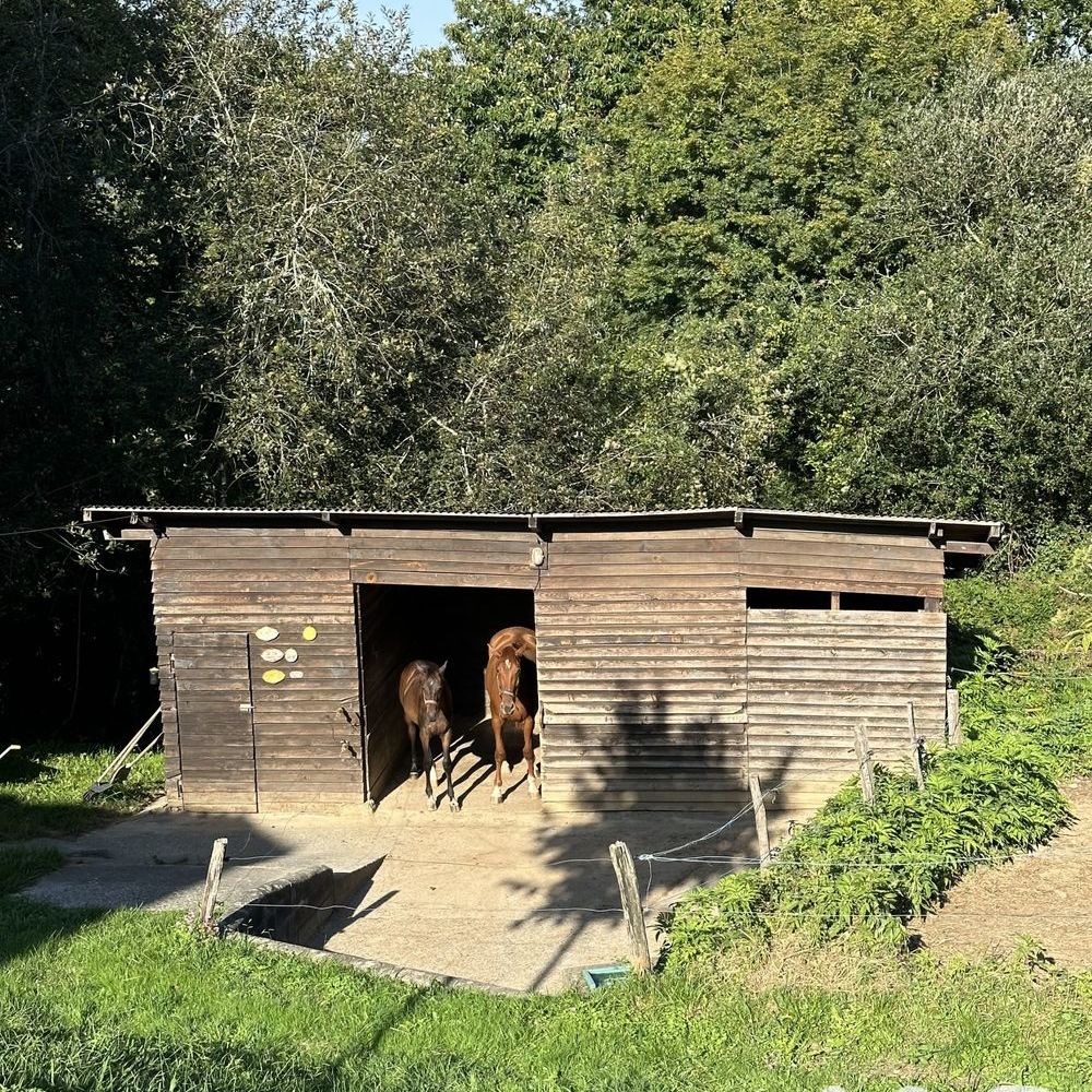 � vendre  Maison Urt (64240)