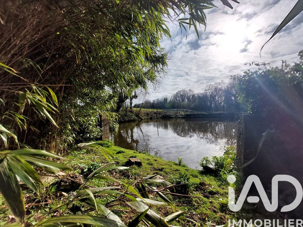 � vendre  Maison Golleville (50390)