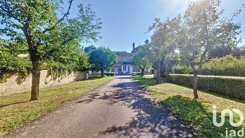 � vendre  Propri�t�/ch�teau Moulins (03000)