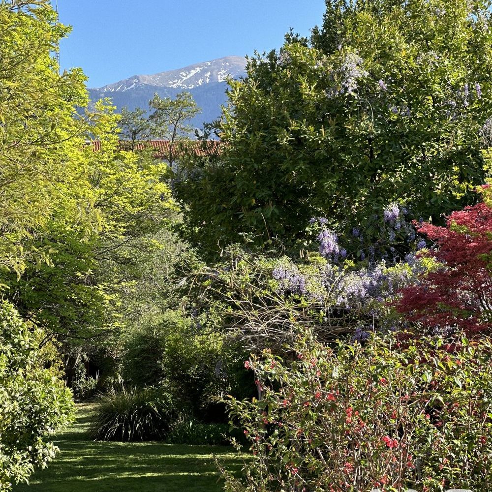 � vendre  Maison Prades (66500)