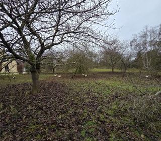  Terrain � vendre 614 m�