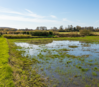  Terrain � vendre 5567 m�