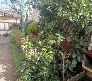  Maison � vendre 4 pi�ces 75 m�