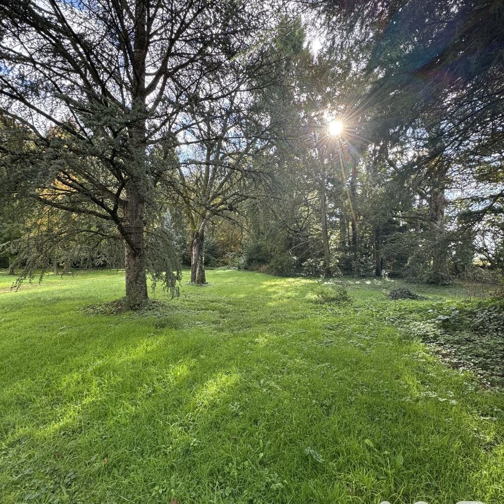 � vendre  Propri�t�/ch�teau Vornay (18130)