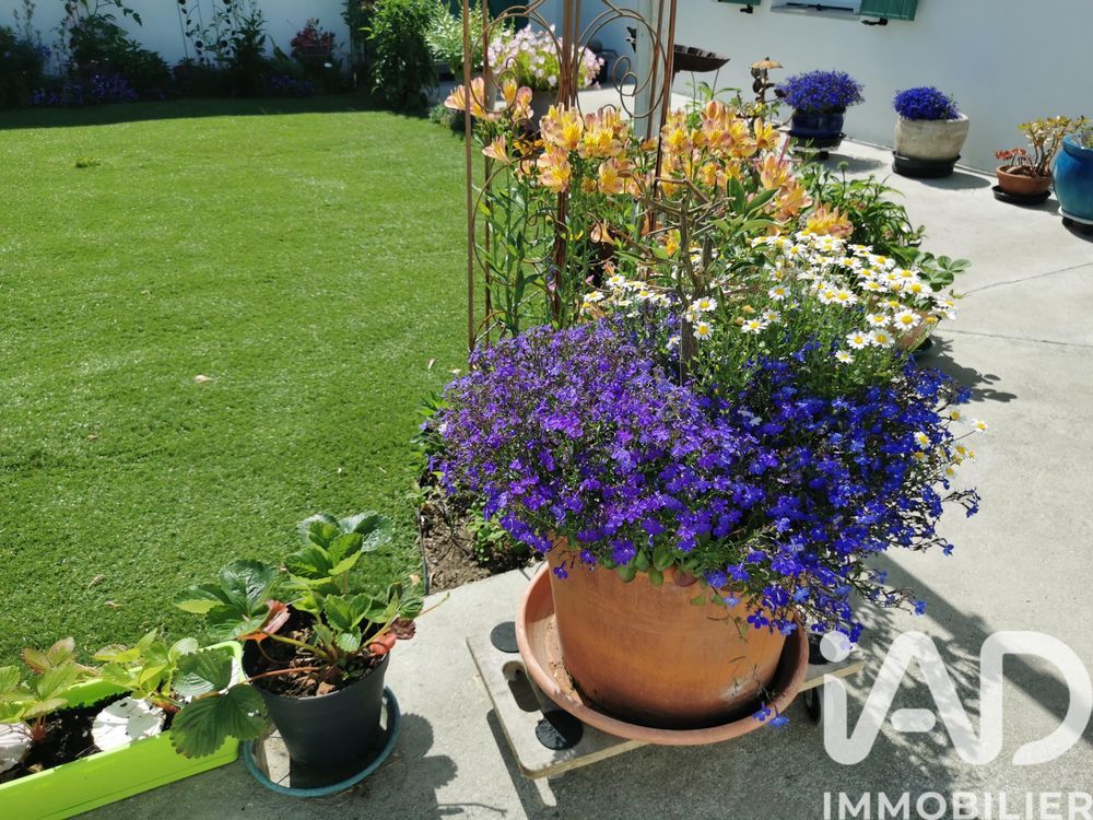 � vendre  Maison Le Bois-Plage-en-R� (17580)