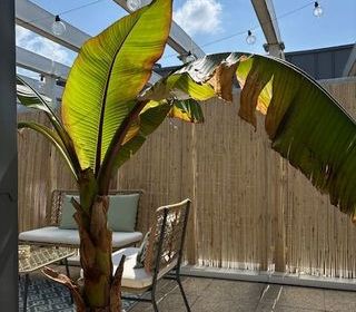  Appartement � vendre 3 pi�ces 67 m�