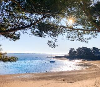  Maison � vendre 3 pi�ces 35 m�