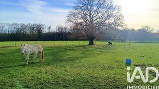  Maison � vendre 11 pi�ces 232 m�