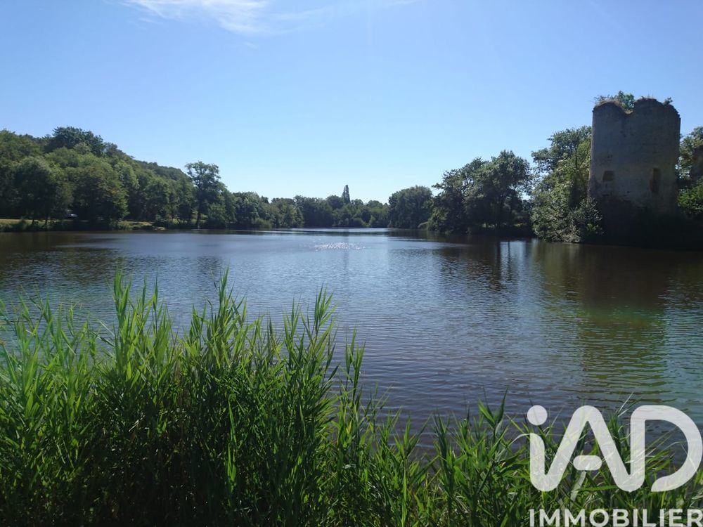 � vendre  Maison Ch�teaumeillant (18370)