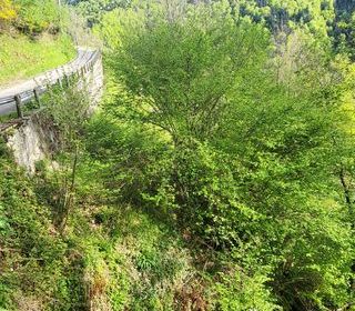  Maison � vendre 3 pi�ces 100 m�