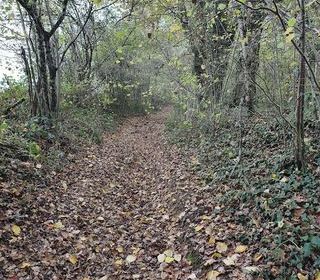  Terrain � vendre 405918 m�