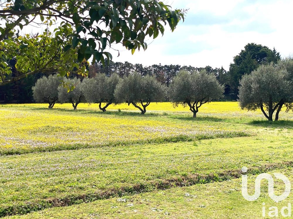 � vendre  Maison L'Isle-sur-la-Sorgue (84800)