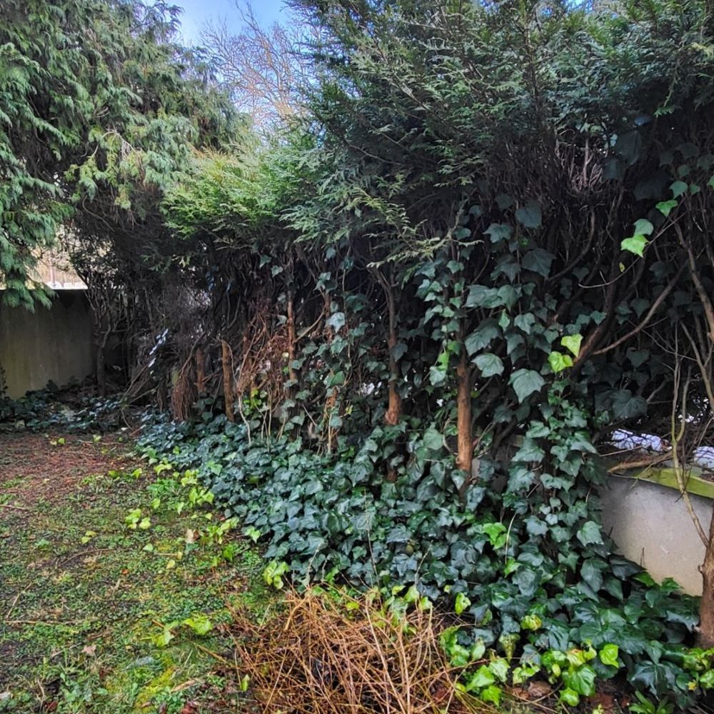 � vendre  Maison V�lizy-Villacoublay (78140)