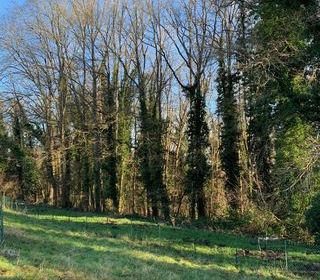  Maison � vendre 8 pi�ces 204 m�