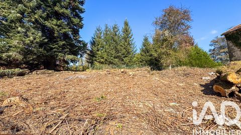   Vente Maison/villa 5 pi�ces Maison - 5 pi�ce(s) - 80 m�