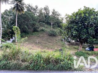  Terrain � vendre 2479 m�