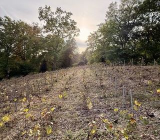  Terrain � vendre 749 m�