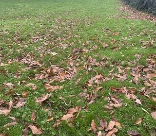  Terrain � vendre 622 m�