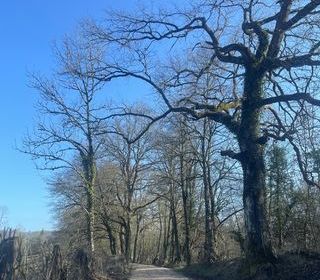  Terrain � vendre 52608 m�