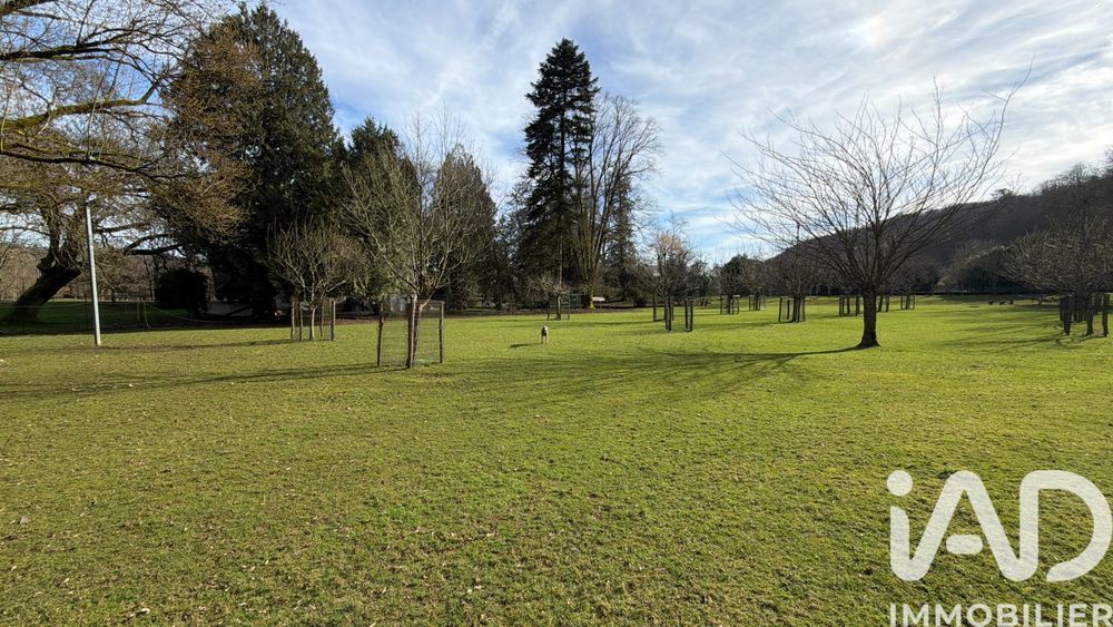 � vendre  Propri�t�/ch�teau Joinville (52300)