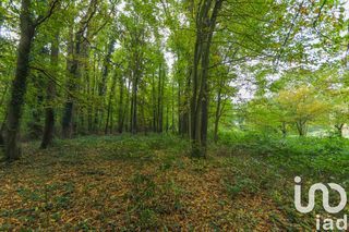  Terrain � vendre 5000 m�