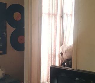  Appartement � vendre 1 pi�ce 15 m�