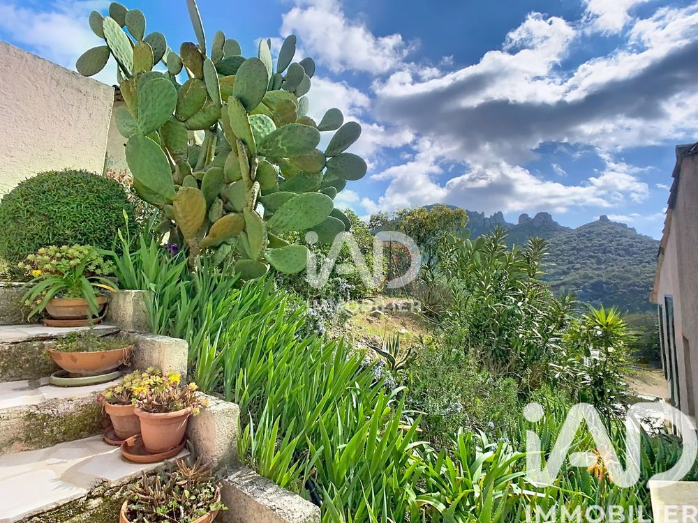 � vendre  Maison Mandelieu-la-Napoule (06210)