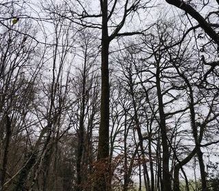  Terrain � vendre 29105 m�