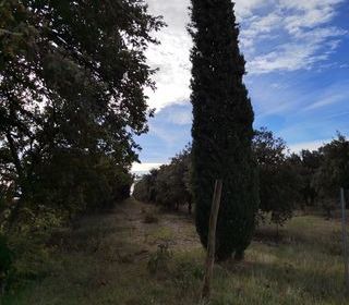  Terrain � vendre 7825 m�