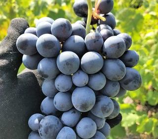  Maison � vendre 12 pi�ces 270 m�