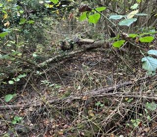  Terrain � vendre 732 m�