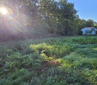  Terrain � vendre 1203 m�