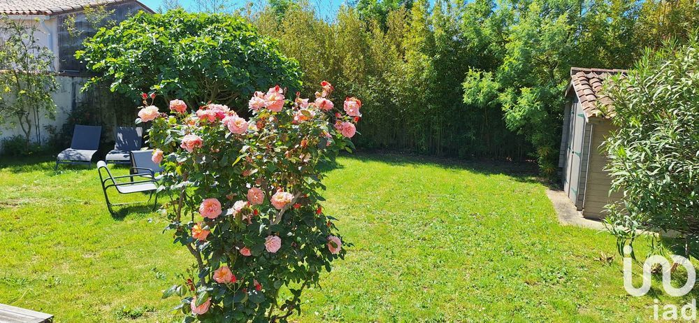 � vendre  Maison Saint-Martin-de-R� (17410)