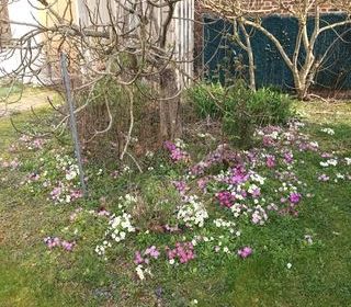  Maison � vendre 7 pi�ces 154 m�