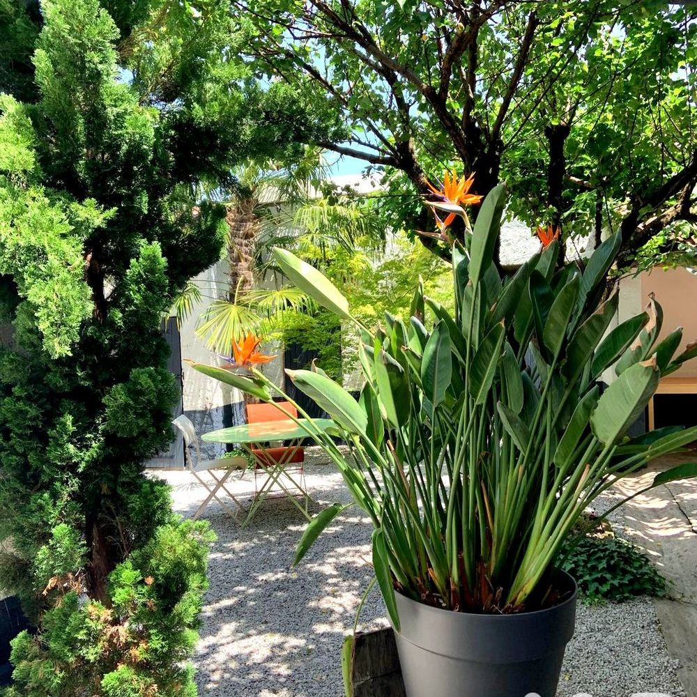 � vendre  Maison Albi (81000)