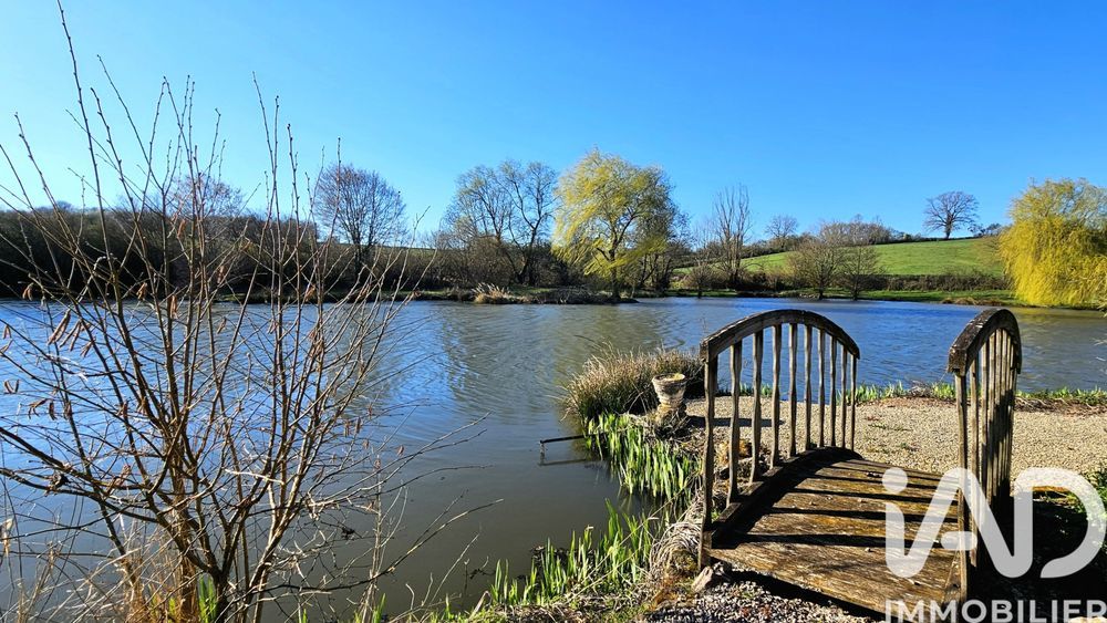 � vendre  Propri�t�/ch�teau Vi�vy (21230)