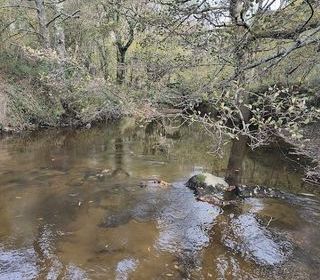  Terrain � vendre 405918 m�