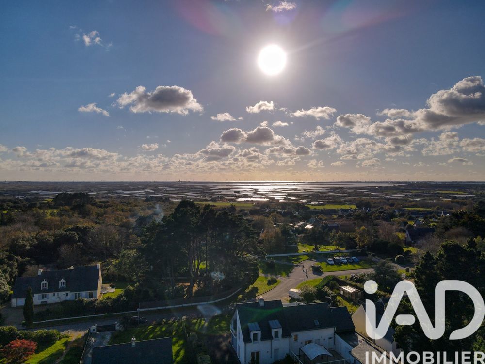 � vendre  Maison Gu�rande (44350)