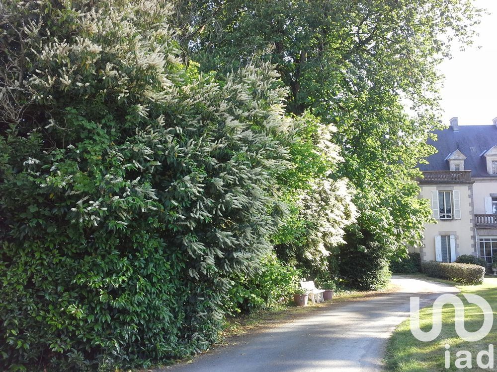 � vendre  Propri�t�/ch�teau Saint-Denis-la-Chevasse (85170)