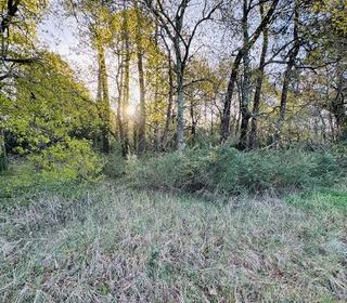  Terrain � vendre 800 m�