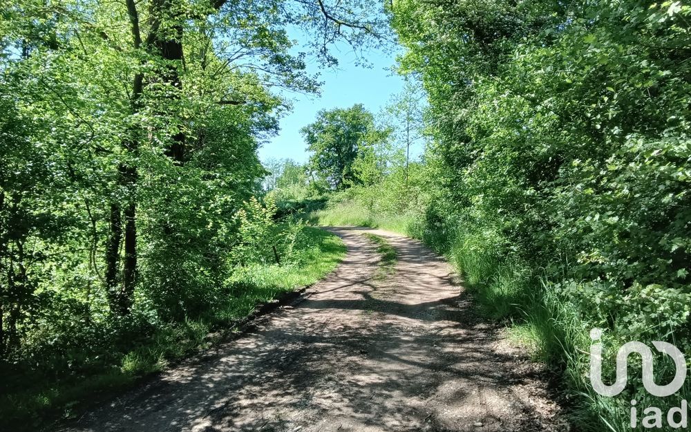 � vendre  Maison Ch�teaumeillant (18370)