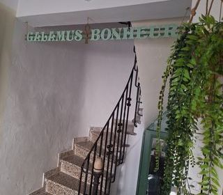  Appartement � vendre 1 pi�ce 26 m�