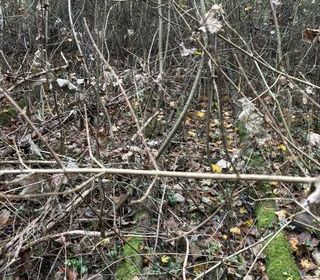  Terrain � vendre 1612 m�