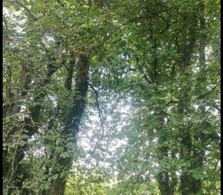  Terrain � vendre 5430 m�