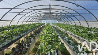  Terrain � vendre 2806 m�