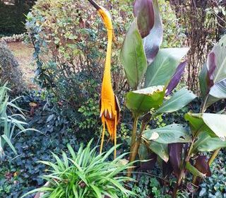  Maison � vendre 8 pi�ces 220 m�