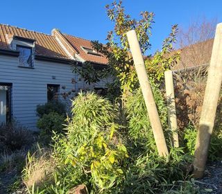  Maison � vendre 7 pi�ces 247 m�