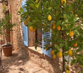  Maison � vendre 5 pi�ces 209 m�