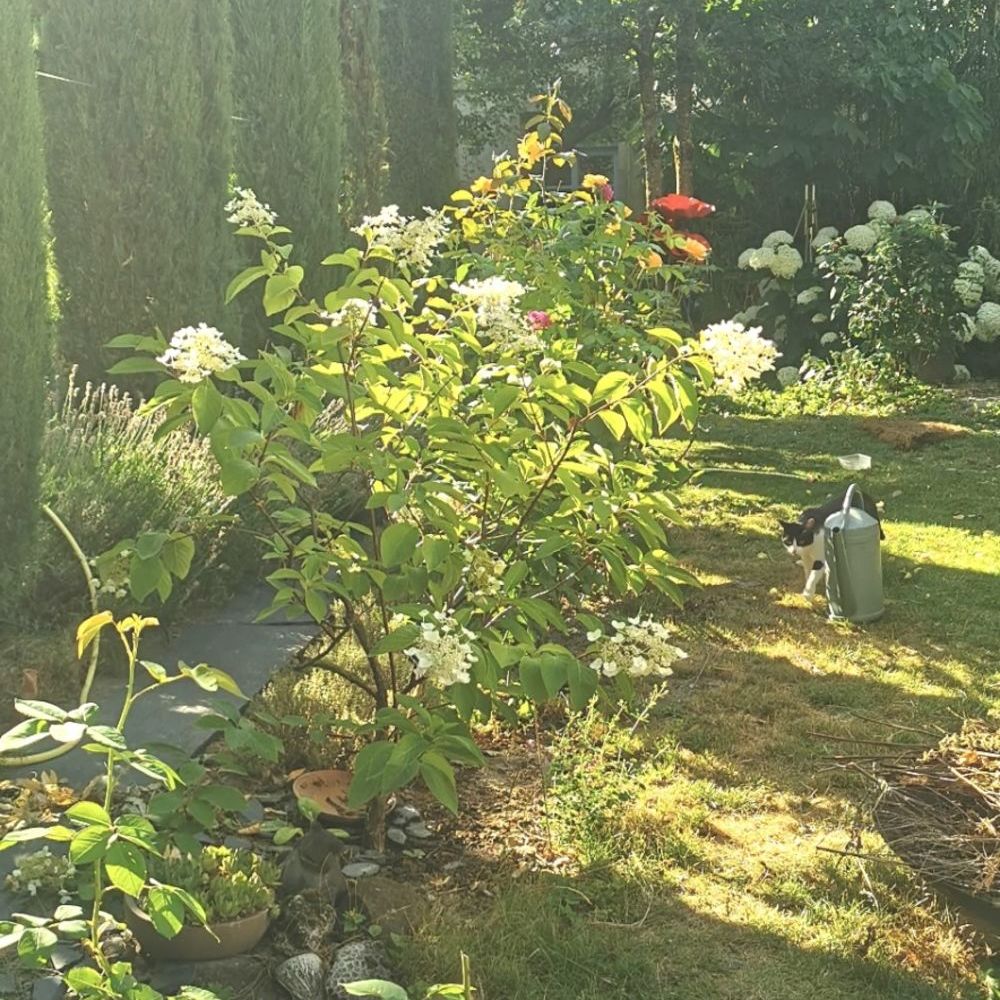 � vendre  Maison Reims (51100)